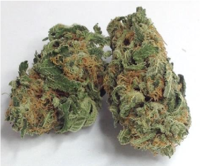 Hindu Kush