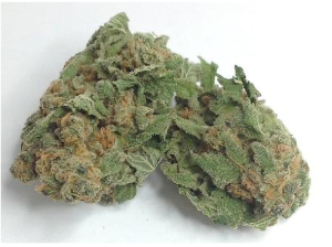 Tangerine Dream