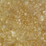 20151110_072734