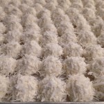 Coconut Snowball